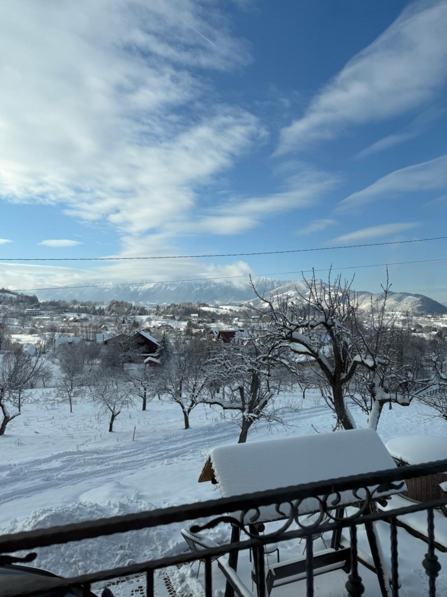 Montissimo Chalet Bran  Zewnętrze zdjęcie